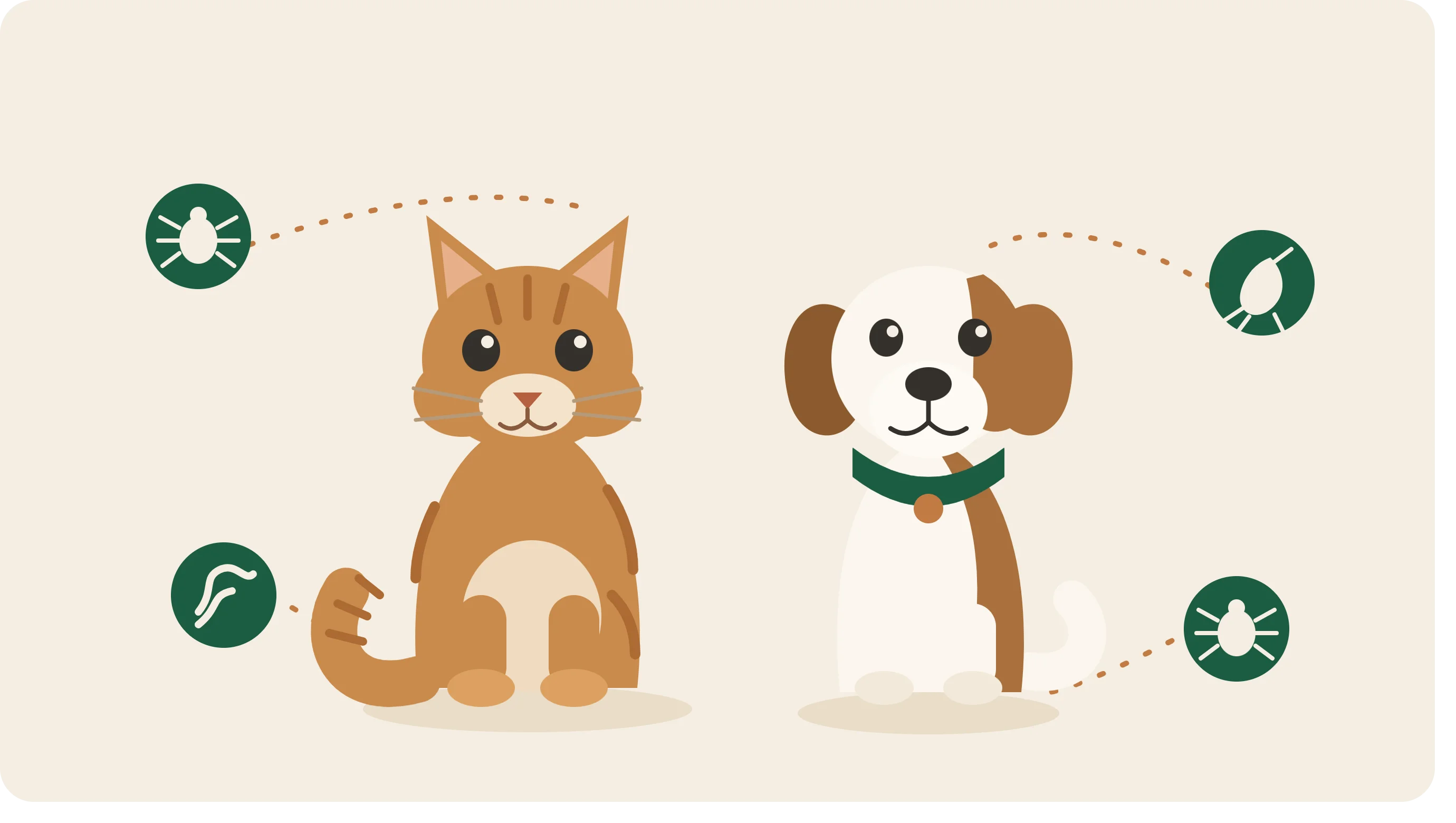 Kedi ve Köpeklerde İç-Dış Parazit: Belirtiler, Bulaşma ve Korunma